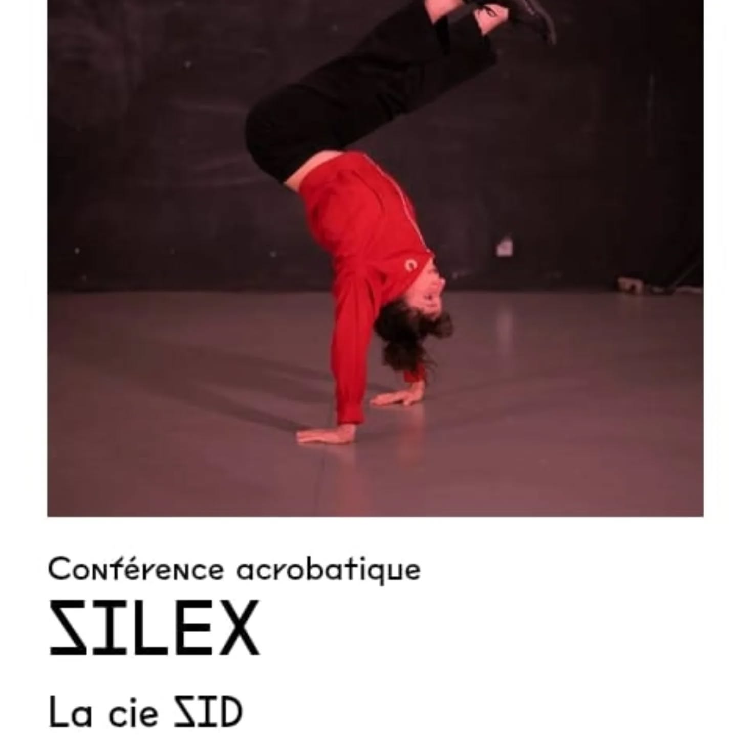 Le Plongeoir, Pà´le national Cirque Le Mans.